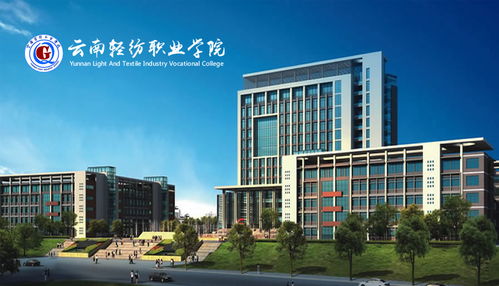 昆明奧遠(yuǎn)科技 一站式數(shù)字化解決方案，賦能企業(yè)網(wǎng)絡(luò)建設(shè)與新媒體運(yùn)營(yíng)