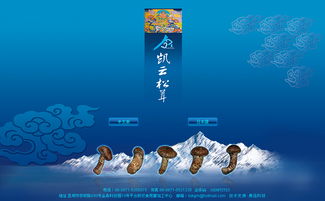 凱云科工貿(mào)與奧遠(yuǎn)科技 以技術(shù)驅(qū)動(dòng)，賦能昆明與云南的數(shù)字化轉(zhuǎn)型